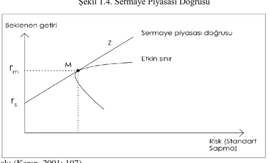 Şekil 1.4. Sermaye Piyasası Doğrusu 