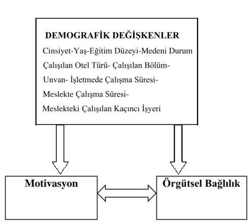 Şekil 4: Araştırmanın Modeli 