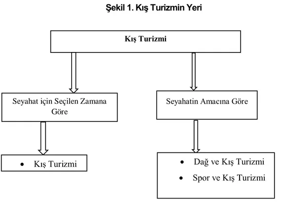 Şekil 1. Kış Turizmin Yeri 