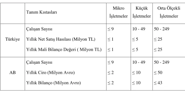 Tablo - 1: Türkiye ve AB KOBİ Tanımı 5