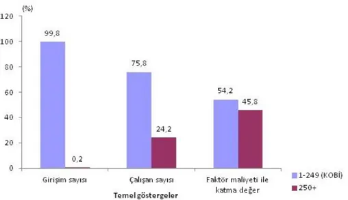 Şekil - 1: Büyüklük Gruplarına  göre İşletme Sayısı, İstihdam ve Faktör maliyetiyle  Katma Değer (FMKD) Dağılımı, 2012 44