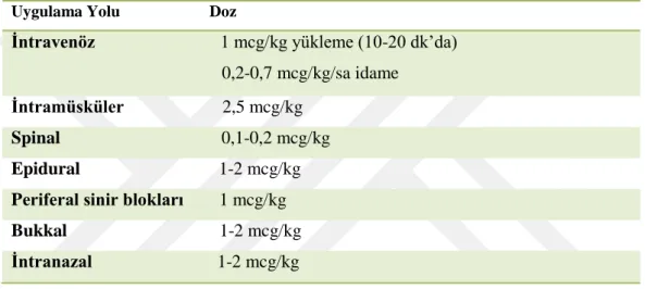Tablo 4 : Deksmedetomidin uygulama yolu ve dozajı (88) 