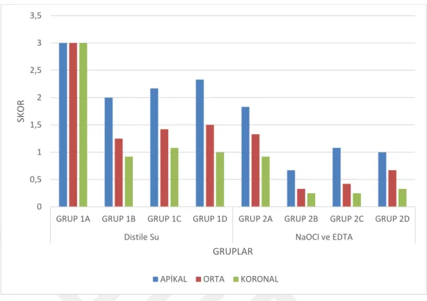 Şekil 3.1 Tüm gruplardaki örneklerin SEM incelemesi sonucunda elde edilen smear tabakası  skorlarının ortalama değerlerinin grafiksel görünümü 