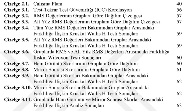 Çizelge 2.1.   Çalışma Planı  40 