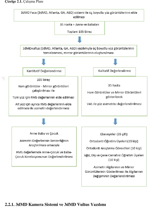Çizelge 2.1. Çalışma Planı 