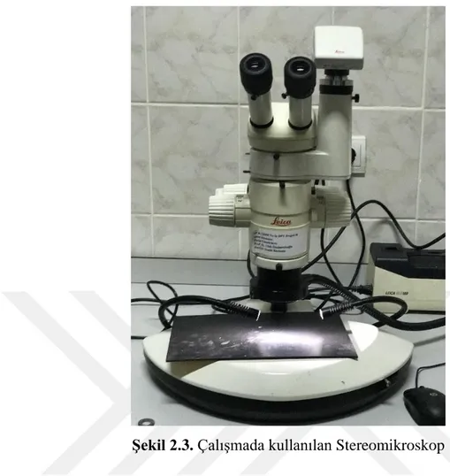 Şekil 2.3. Çalışmada kullanılan Stereomikroskop 