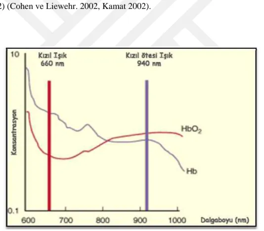 Şekil 1.2 Oksi ve Deoksi Hemoglobinin İki Farklı Dalga Boyundaki Işık Absorpsiyonları 