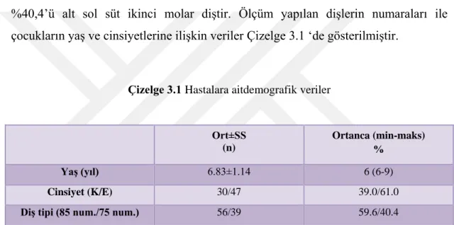 Çizelge 3.1 Hastalara aitdemografik veriler 