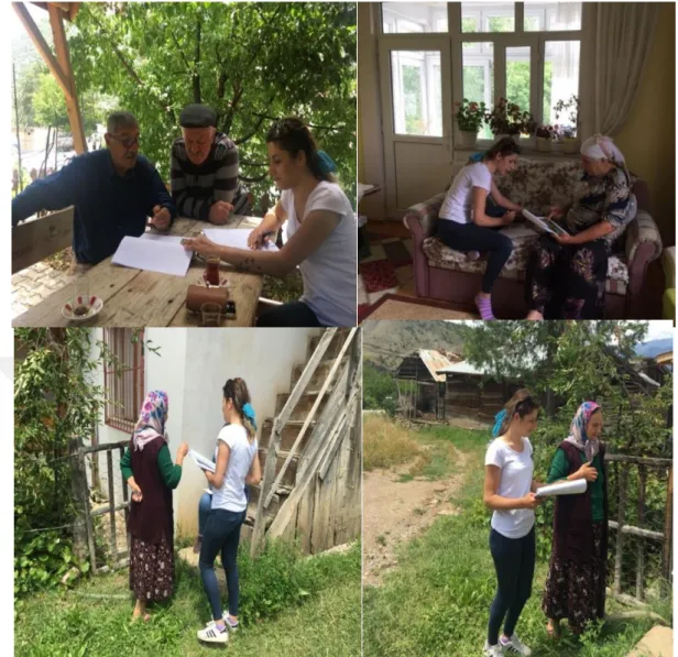 Şekil 7. Anket çalışmaları 