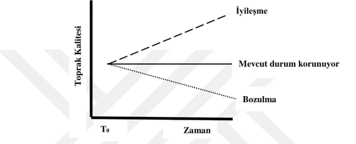 Şekil  4.  Dinamik  toprak  kalitesinin  zamana  bağlı  değişim  eğilimi  (Karlen  ve  ark.,  2011) 