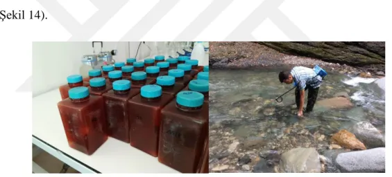 Şekil 14. Su örneklerinin alınması 