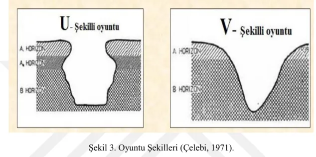 Şekil 3. Oyuntu Şekilleri (Çelebi, 1971). 