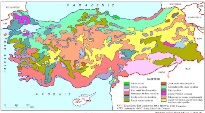 Şekil 9. Türkiye toprak haritası 