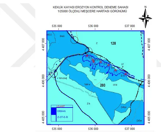 Şekil 10. 2016 yılında yenilenen Amenajman Planlarında araştırma sahasını “Çsa”  olarak gösteren 1/25000 ölçekli meşcere haritası 