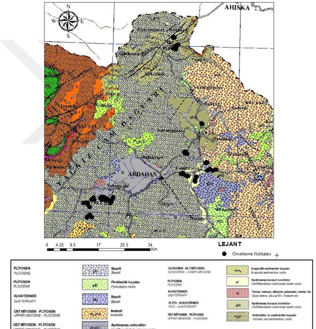 Şekil 6. Örnek alanların jeoloji haritasında dağılımı 