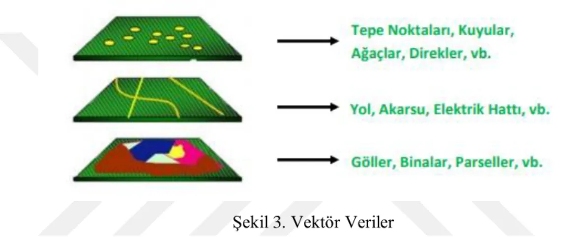Şekil 3. Vektör Veriler 