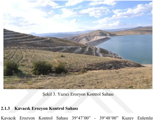 Şekil 3. Yazıcı Erozyon Kontrol Sahası 