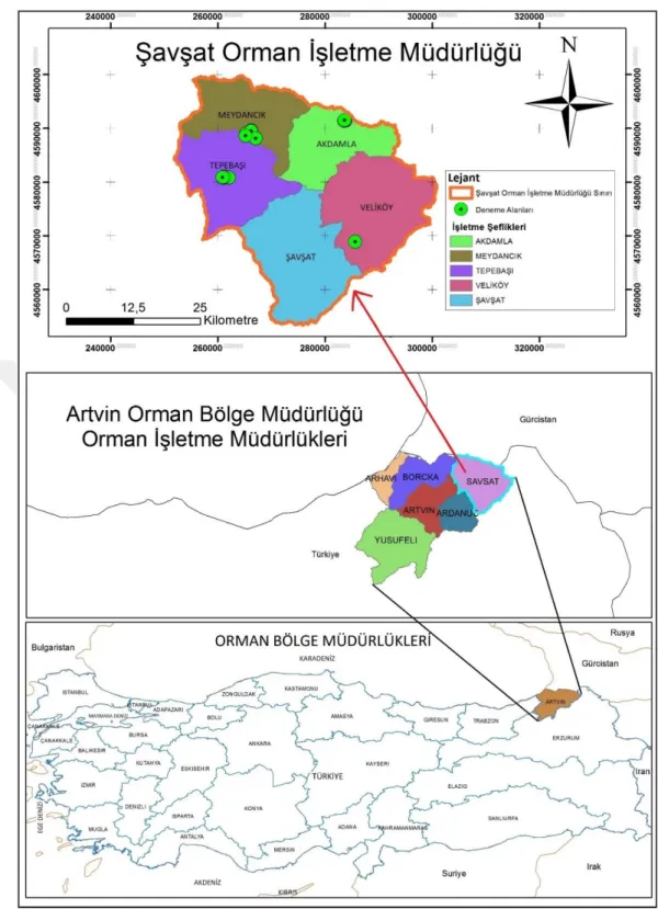 Şekil 2. Çalışma alanı ve örnek alanların dağılım haritası 