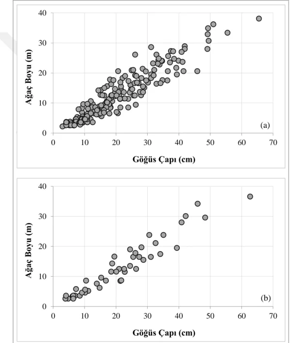 Şekil  6.  Modellerin  oluşturulmasında  (a)  ve  denetiminde  (b)  kullanılan  örnek  ağaç  verilerinin çap-boy ilişkisi 