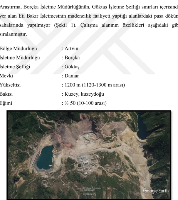 Şekil 1. Murgul maden sahası alanından genel bir görünüm 