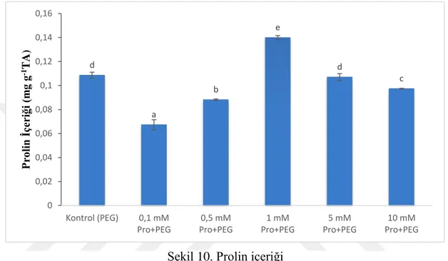 Şekil 10. Prolin içeriği 