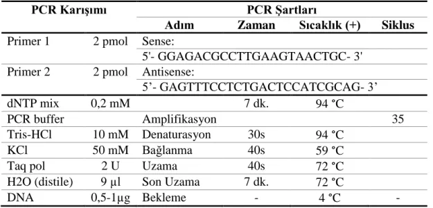 Tablo 3. PCR karışımı (tek örneklik) ve PCR Şartları 