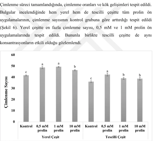 Şekil 6. Yerel ve tescilli domates tohumunda çimlenme oranları 