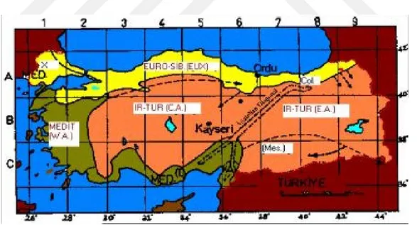 Şekil 1. Araştırma alanının Fitocoğrafik Bölge ve Davis'in grid sistemine göre  konumu (Eminağaoğlu, 2015) 