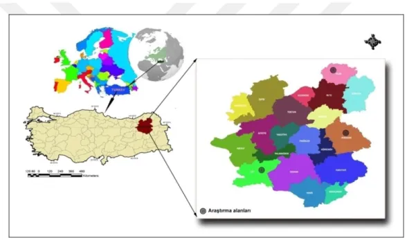 ġekil 6.ÇalıĢma alanları 
