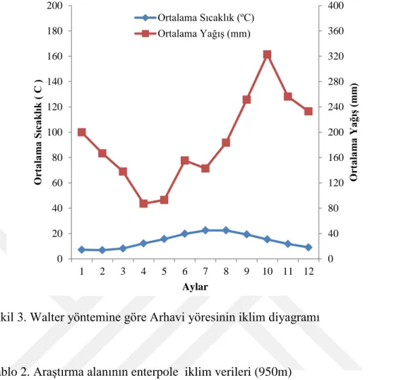 Şekil 3. Walter yöntemine göre Arhavi yöresinin iklim diyagramı 