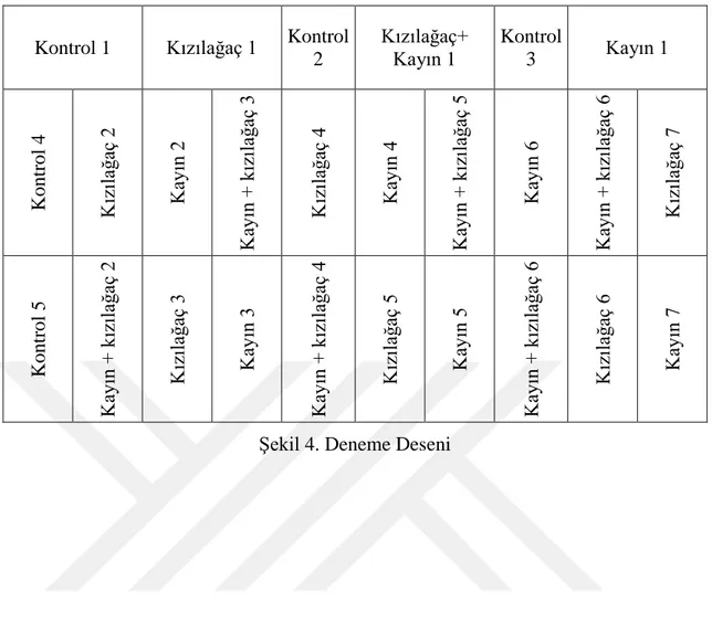 Şekil 4. Deneme Deseni 