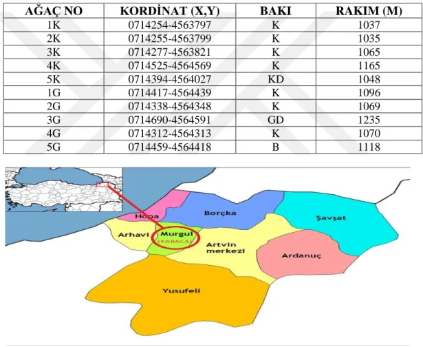 Tablo 1. Tohum toplanan ağaçların gps bilgileri 