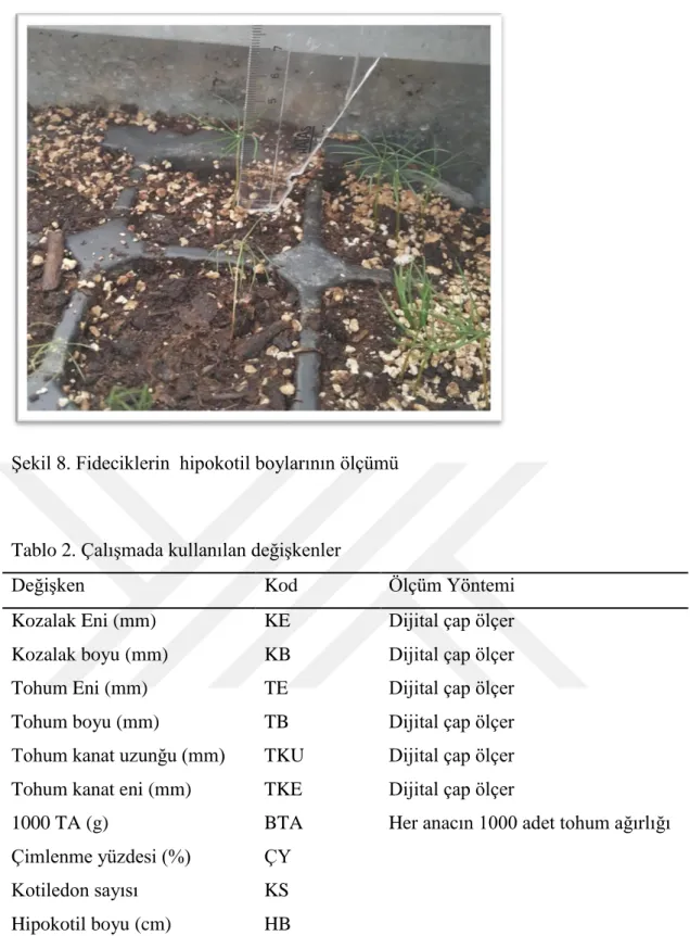 Tablo 2. Çalışmada kullanılan değişkenler 