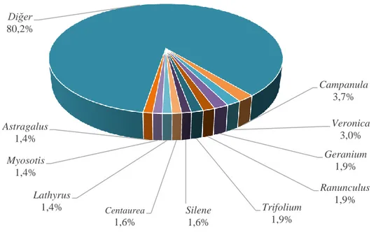 ġekil 11. AraĢtırma alanında saptanan taksonların cinslere göre oransal dağılımı  Campanula 3,7%  Veronica 3,0% Geranium 1,9% Ranunculus 1,9% Trifolium 1,9% Silene 1,6% Centaurea 1,6% Lathyrus 1,4% Myosotis 1,4% Astragalus 1,4% Diğer 80,2% 