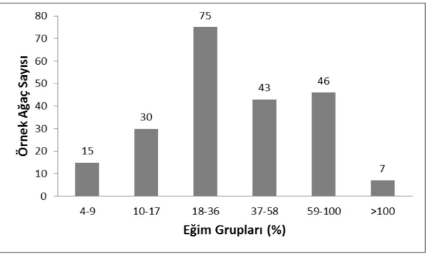 Şekil 11. Örnek ağaçların eğim gruplarına dağılımları 