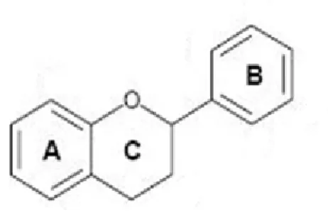 Şekil 9. Flavonoidlerin Genel Yapısı (Manach vd., 2004) 