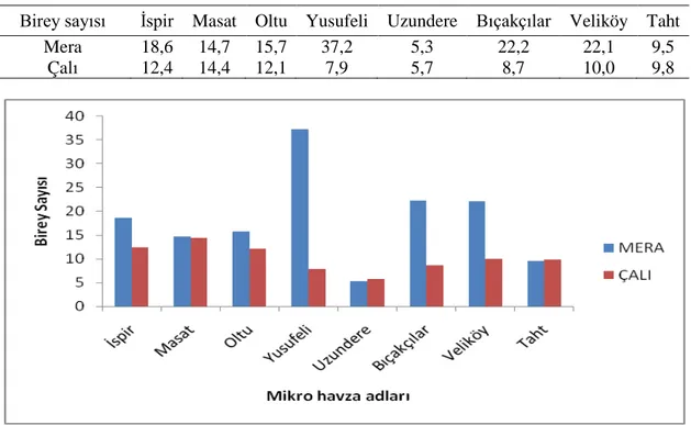 Tablo 8. Mikro  havzalardaki ortalama bitki birey sayısı 