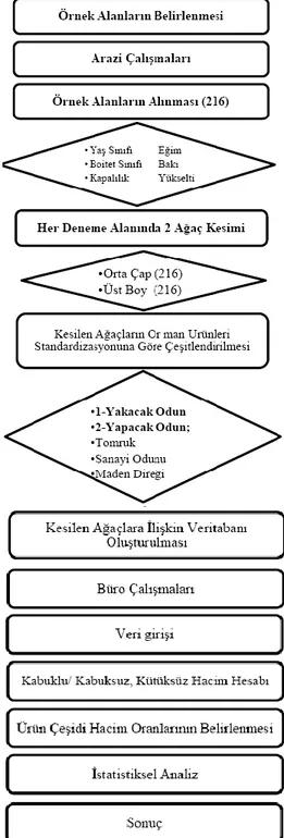 Şekil 3. Yapılan çalışmaya ilişkin iş akışını gösteren şema 