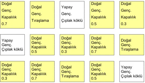 Şekil 5. Deneme deseni  