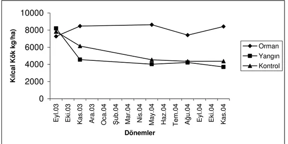 Şekil 5.4. dönemlere göre Ortalama kılcal köke ait değerlerinin değişimi 