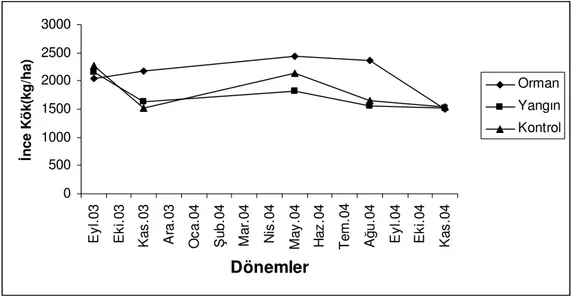 Şekil 5.5. Dönemlere göre ortalama ince köke ait değerlerin değişimi 