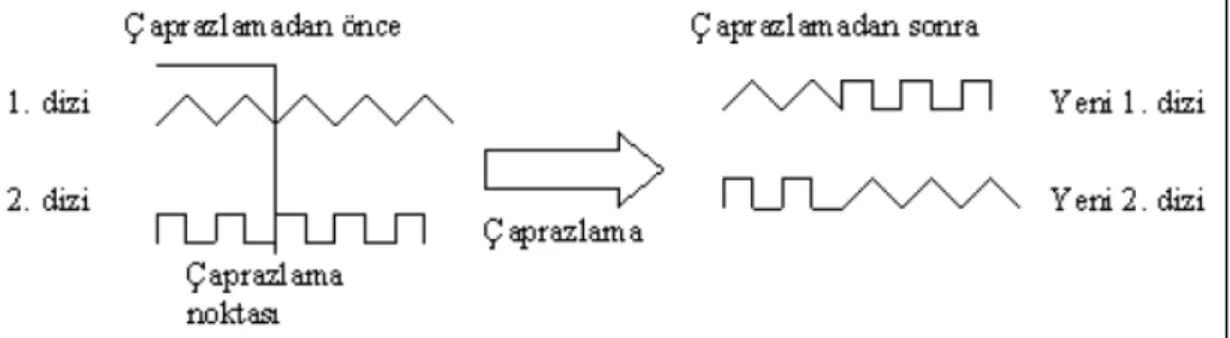 Şekil 6: Çaprazlama İşleminin Şematik Gösterimi 