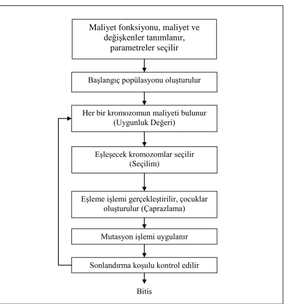 Şekil 8: Genetik Algoritma Akış Şeması 