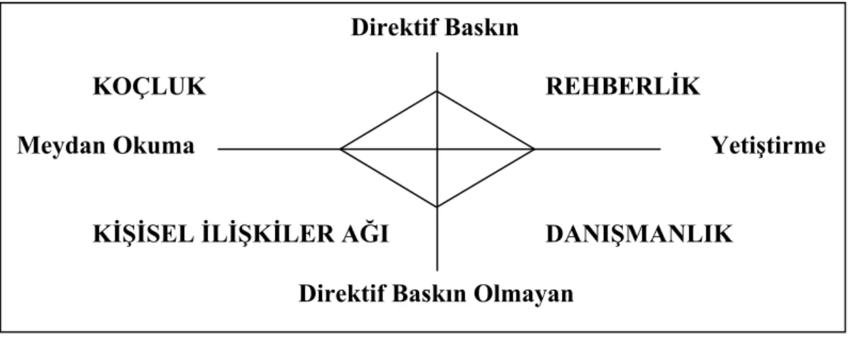 Şekil 1.2. Destekleyici mentorlük 