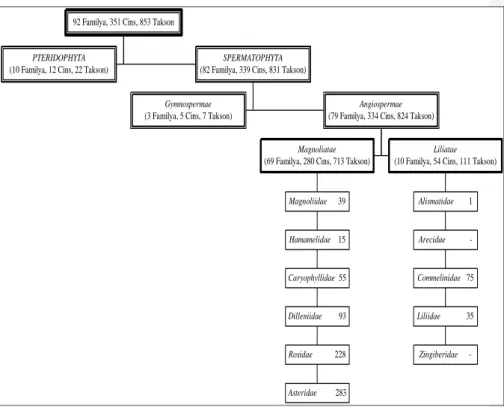 Şekil 8. Saptanan taksonların taksonomik birimlere dağılımı 