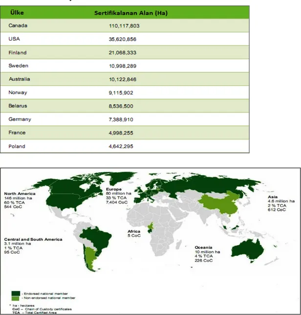 Tablo 1.  Alansal büyüklük bakımından PEFC sertifikası verilen on ülke 