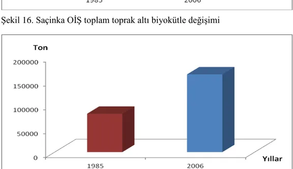 Şekil 17. Saçinka OİŞ toplam toprak üstü biyokütle değişimi 