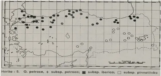 Şekil 2. Quercus petraea subsp. iberica’nın ülkemizdeki yayılışı (Yaltırık,1984). 