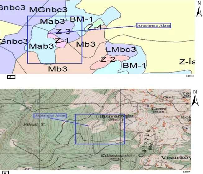 ġekil 1. ÇalıĢma alanına ait meĢçere haritası(A) ve Memleket haritası (B)