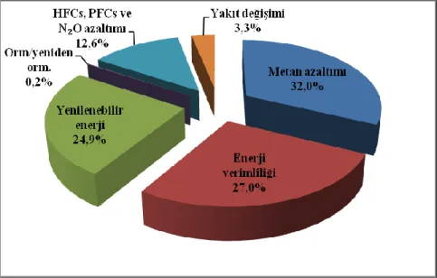 ġekil 8. Ortak Yürütme proje alanları 